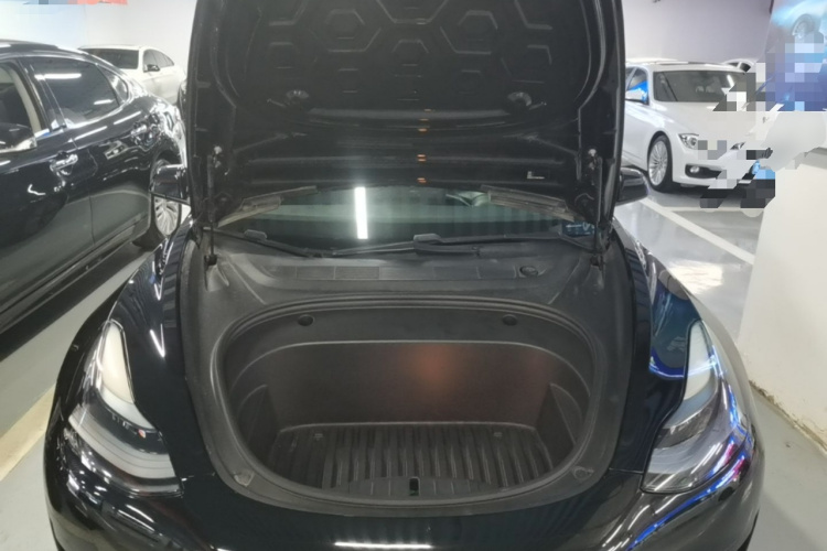 Tesla Model 3 2021 car image #20