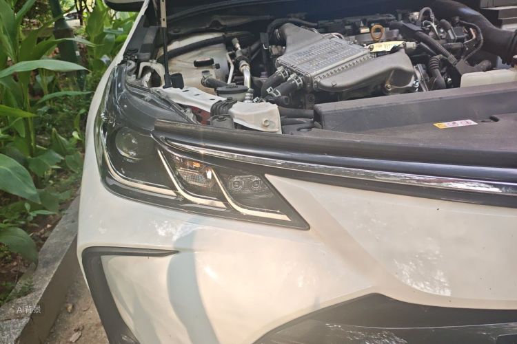 Toyota Corolla 2022 car image #8