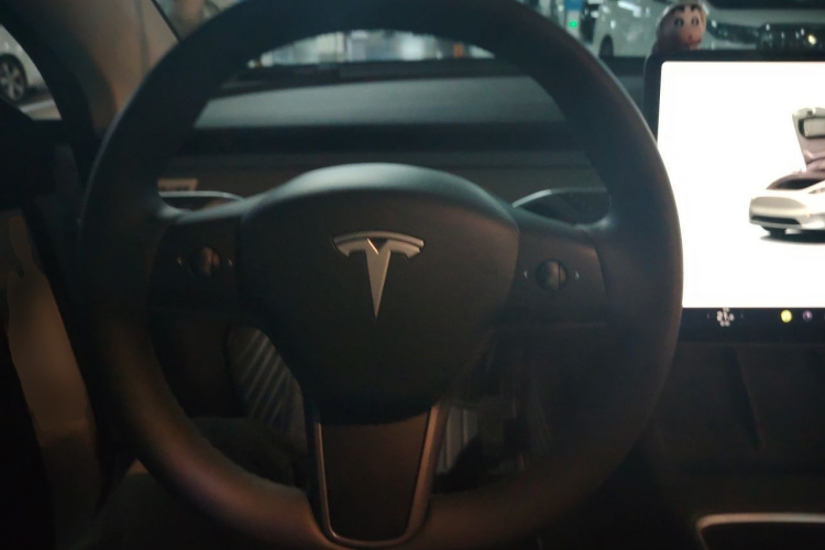 Tesla Model Y 2023 car image #11