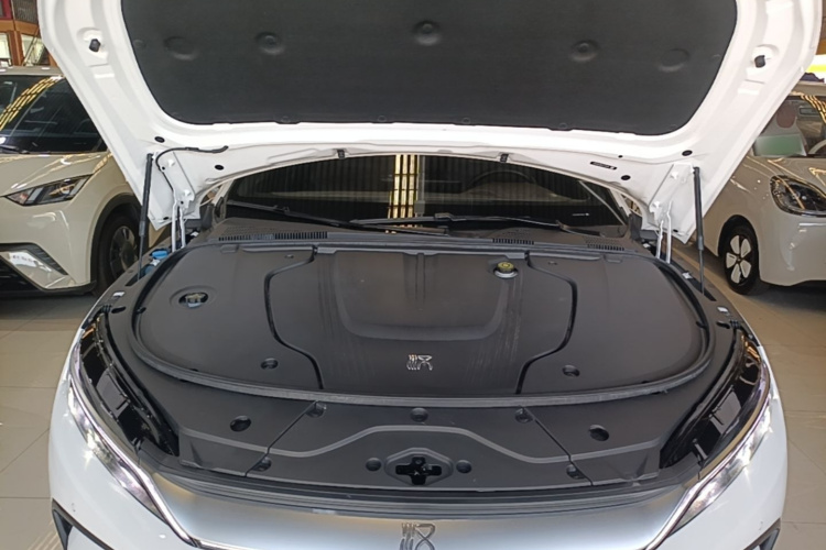 BYD Han 2023 car image #20
