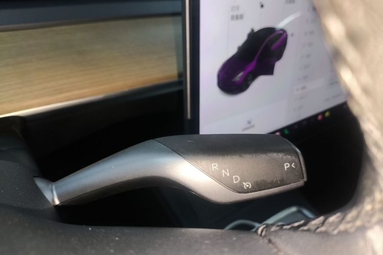 Tesla Model 3 2021 car image #14