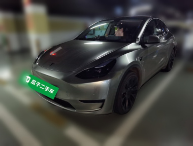 Tesla Model Y 2022 Tesla Model Y 2022 car image