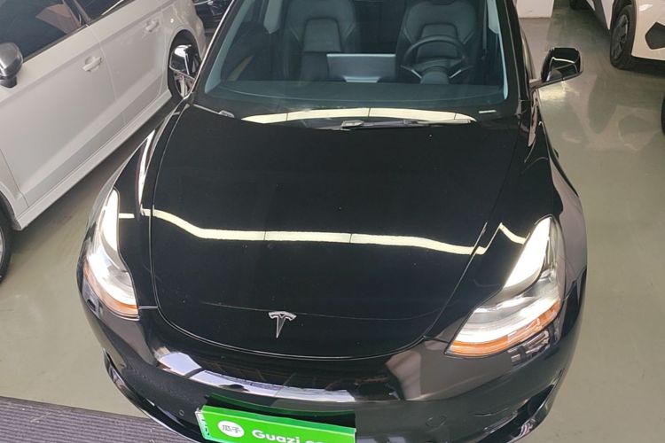Tesla Model 3 2021 #3 Tesla Model 3 2021 car image #3
