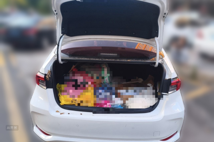 Toyota Corolla 2022 car image #21