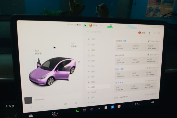 Tesla Model Y 2021 #13 Tesla Model Y 2021 car image #13