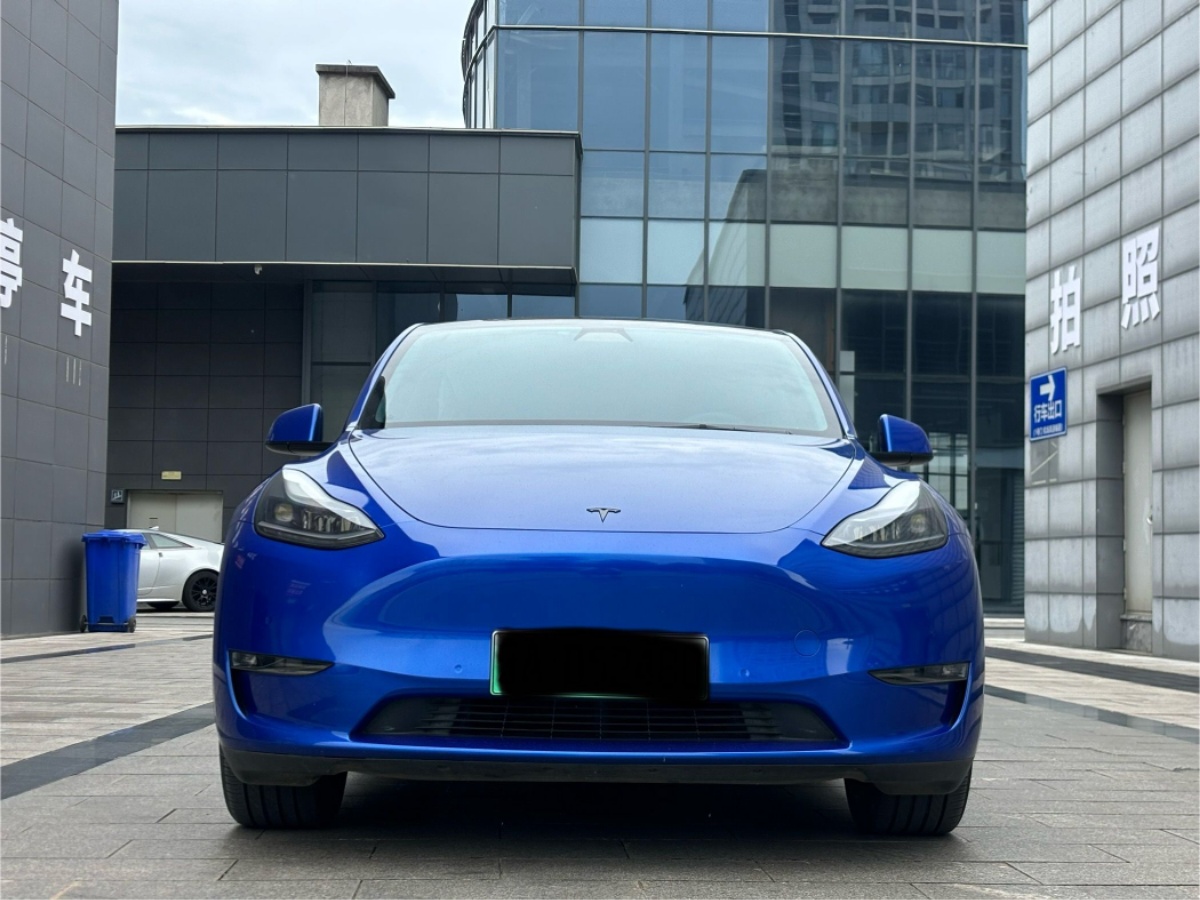 Tesla Model Y 2021 car image #2