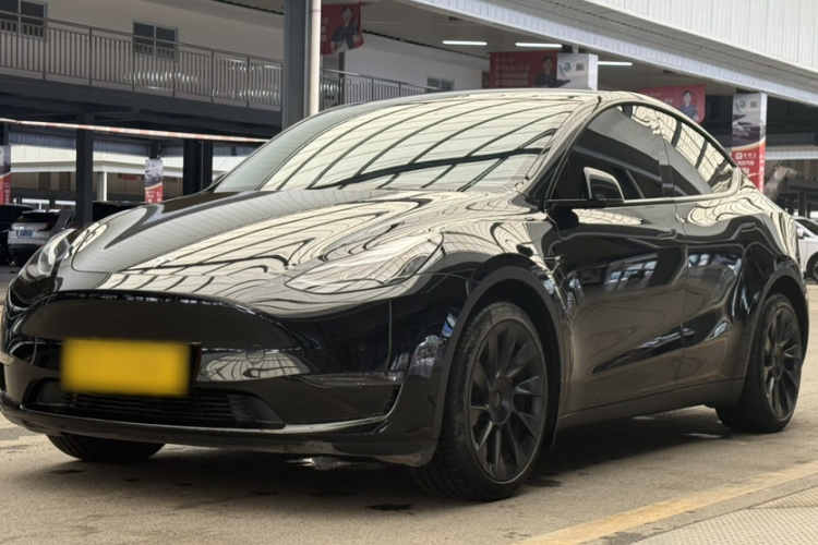 Tesla Model Y 2021 #2 Tesla Model Y 2021 car image #2