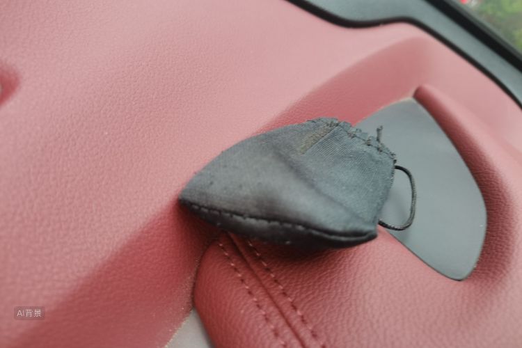GEELY Coolray 2019 car image #10