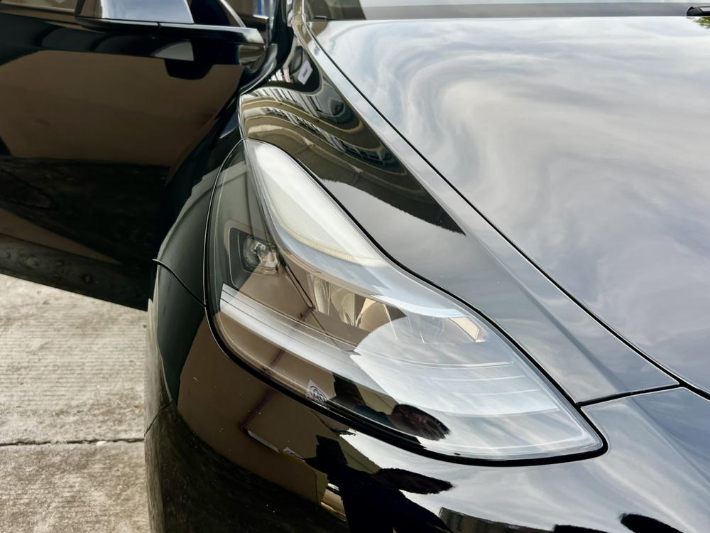Tesla Model Y 2023 #13 Tesla Model Y 2023 car image #13