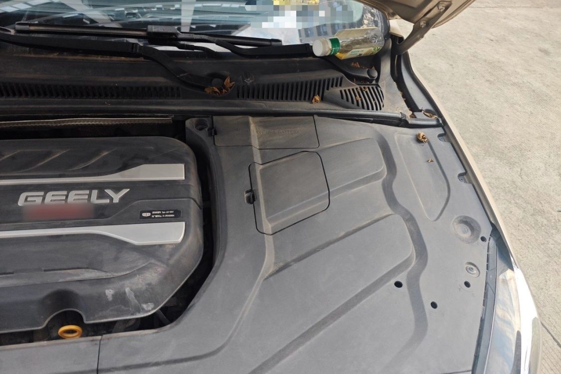 GEELY Binray 2018 #12 GEELY Binray 2018 car image #12