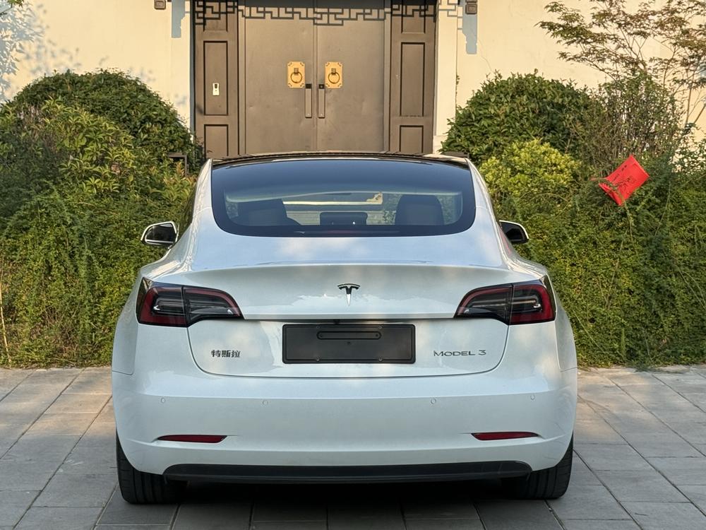 Tesla Model 3 2021 car image #5