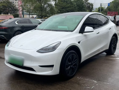 Tesla Model Y 2024 Tesla Model Y 2024 car image