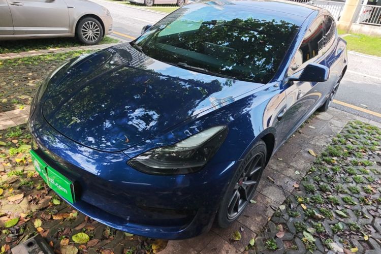 Tesla Model 3 2021 #2 Tesla Model 3 2021 car image #2
