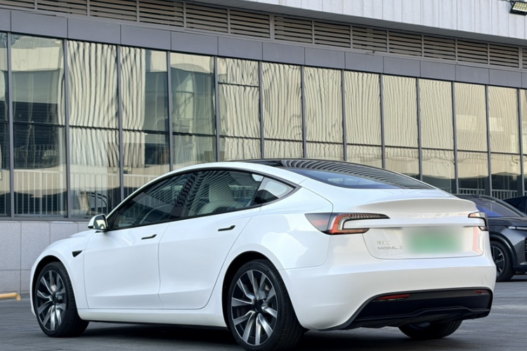 Tesla Model 3 2023 #6 Tesla Model 3 2023 car image #6