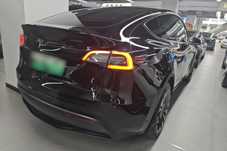 Tesla Model Y 2021 #5 Tesla Model Y 2021 car image #5
