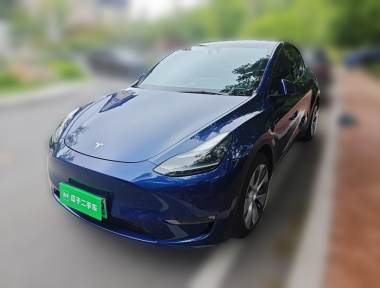 Tesla Model Y 2021 car image 