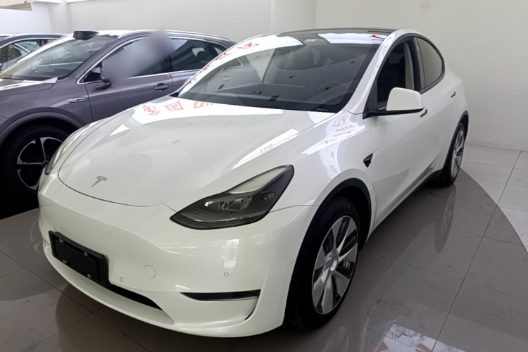 Tesla Model Y 2021 #2 Tesla Model Y 2021 car image #2