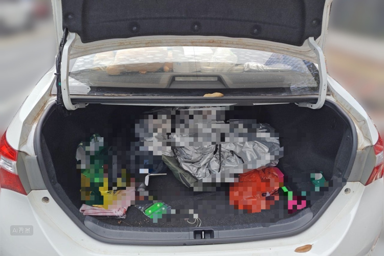 Toyota Corolla 2016 car image #21