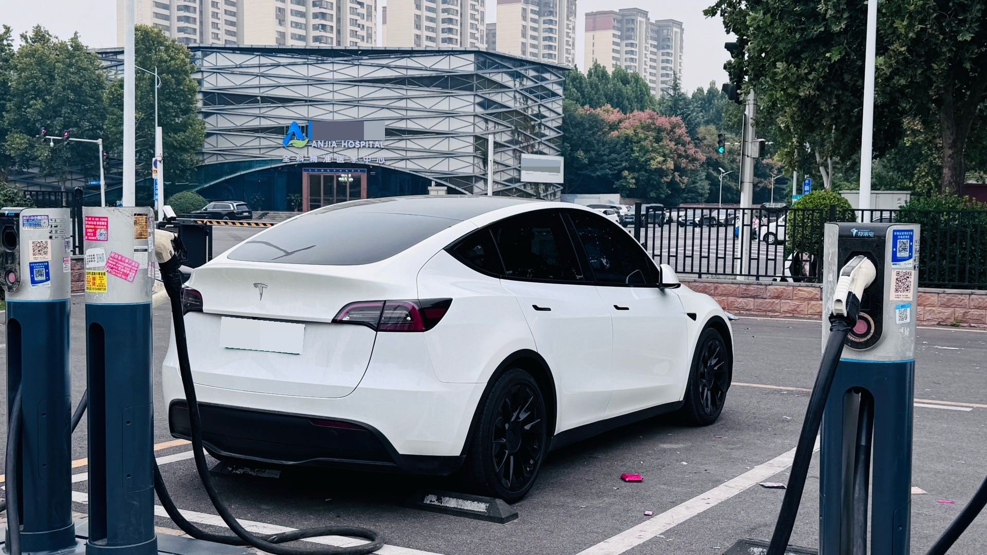 Tesla Model Y 2021 #4 Tesla Model Y 2021 car image #4