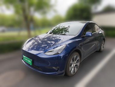 Tesla Model Y 2021 Tesla Model Y 2021 car image
