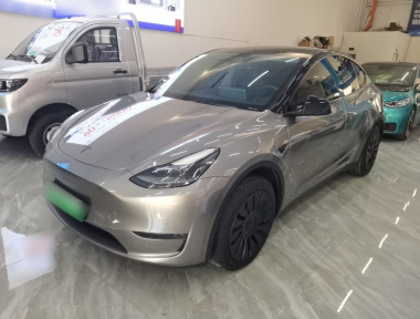 Tesla Model Y 2024 Tesla Model Y 2024 car image