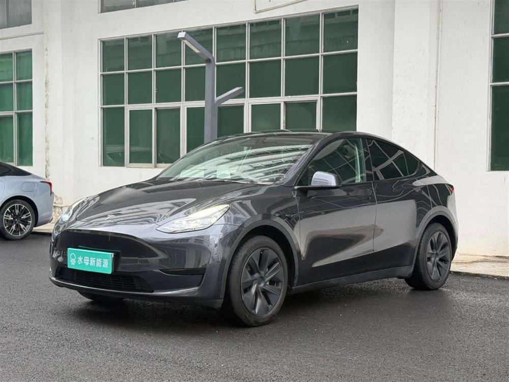 Tesla Model Y 2024 car image 
