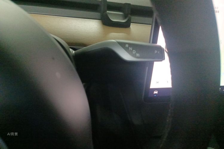 Tesla Model Y 2021 car image #16