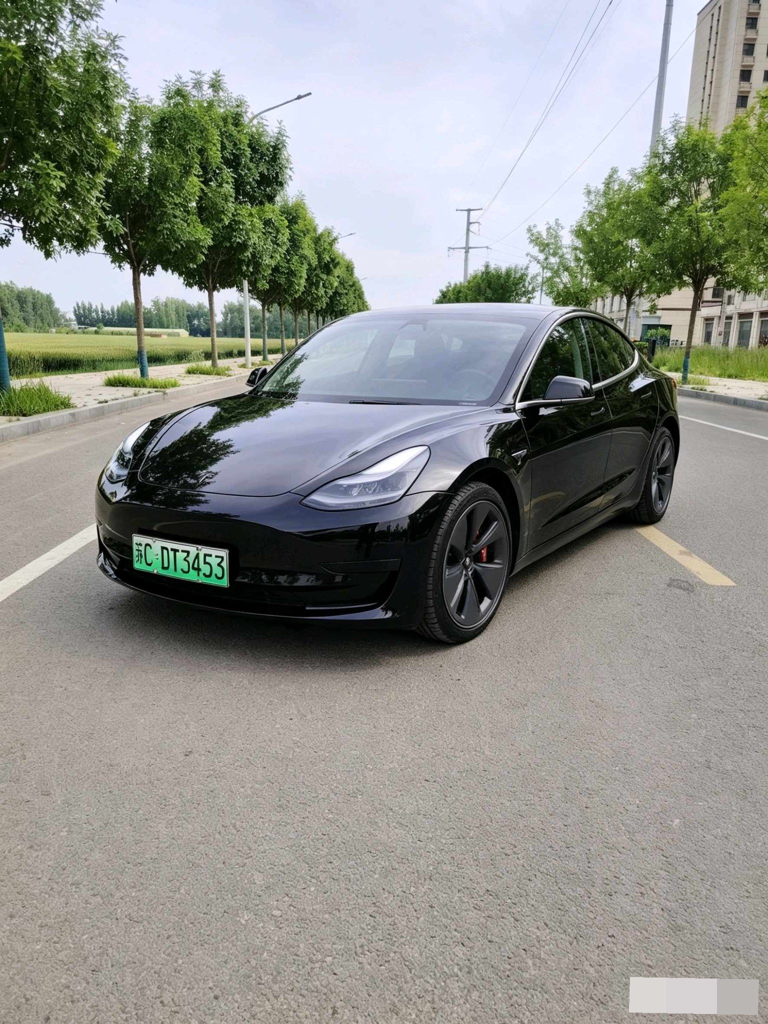 Tesla Model 3 2021 Tesla Model 3 2021 car image
