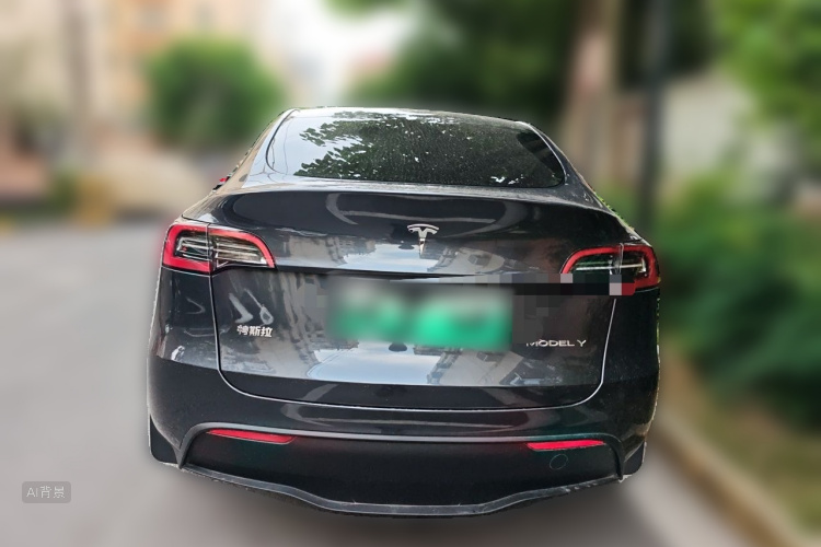 Tesla Model Y 2024 car image #6