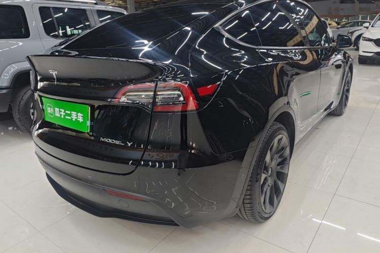 Tesla Model Y 2021 car image #7