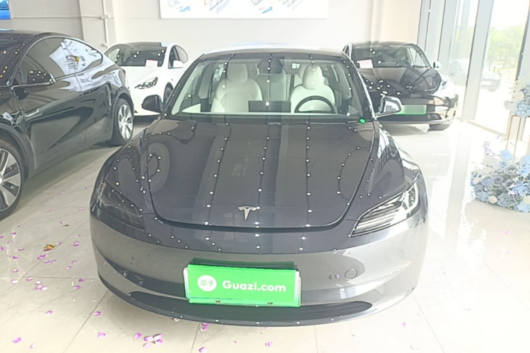 Tesla Model 3 2025 #3 Tesla Model 3 2025 car image #3