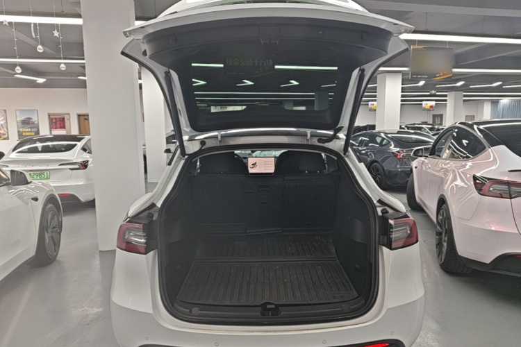 Tesla Model Y 2023 car image #19