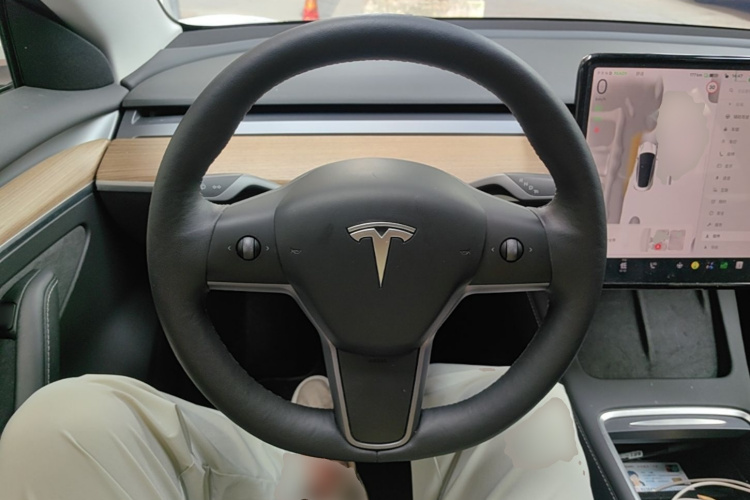 Tesla Model 3 2022 #15 Tesla Model 3 2022 صورة سيارة #15