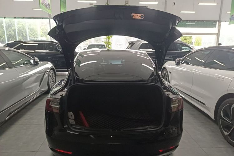 Tesla Model 3 2021 car image #19