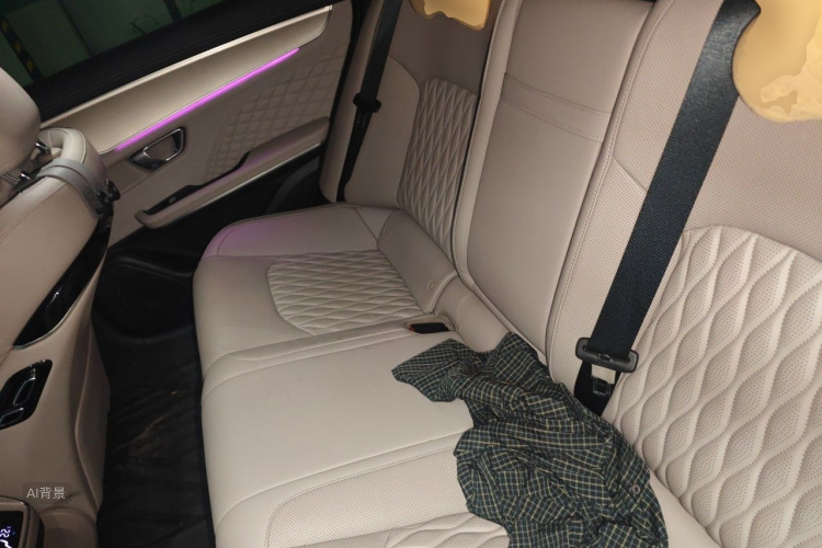 BYD Han 2024 car image #19
