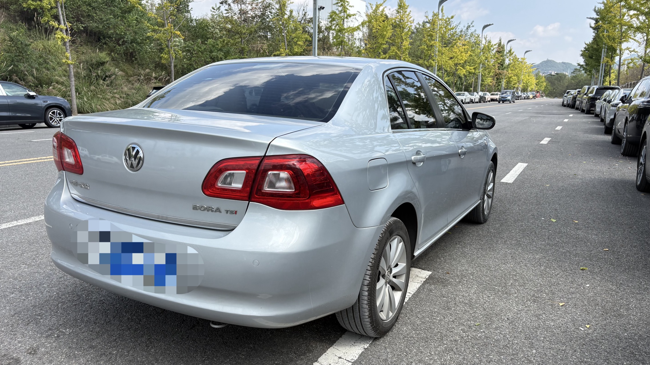 Volkswagen Bora 2010 car image #5