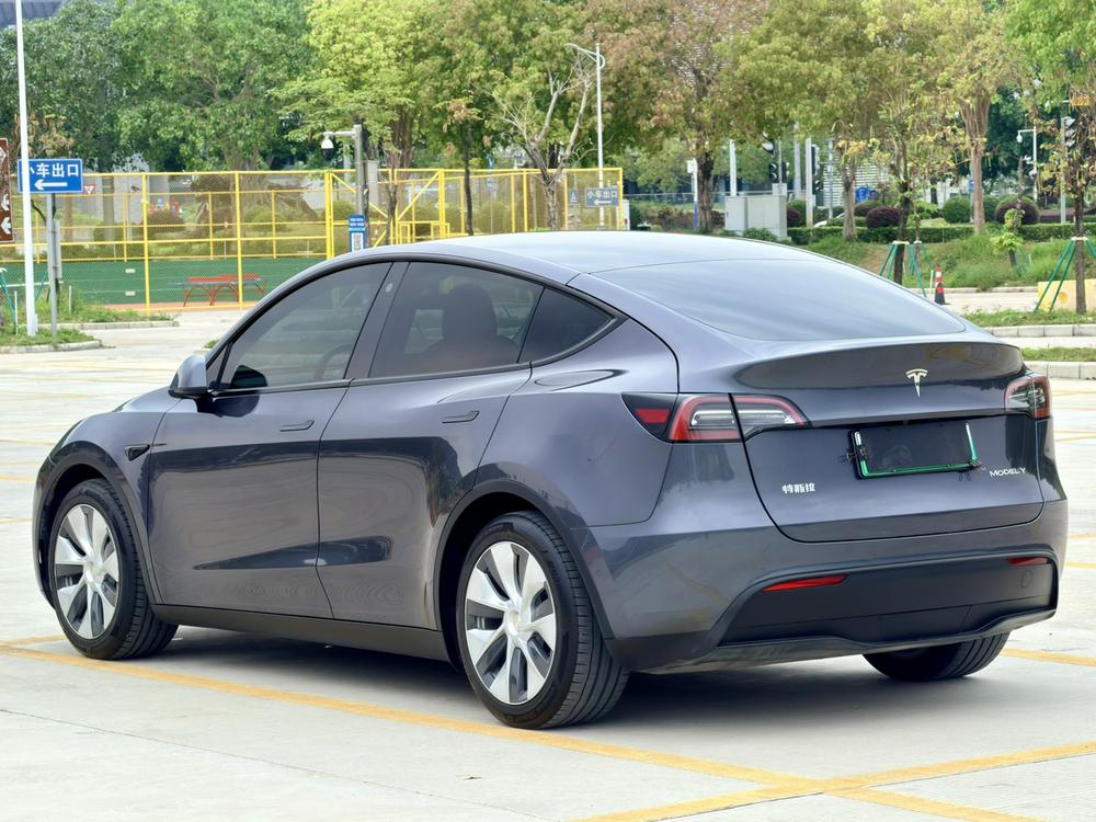 Tesla Model Y 2021 car image #5