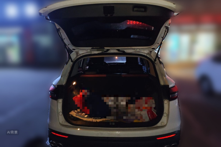 GEELY Coolray 2022 imagem de carro #21