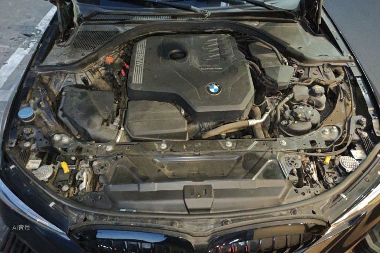 BMW 3 Series 2021 car image #22