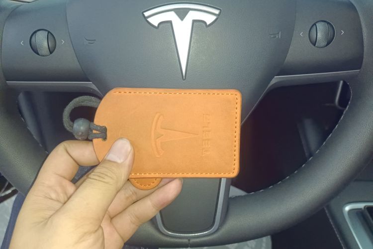 Tesla Model Y 2023 #14 Tesla Model Y 2023 car image #14