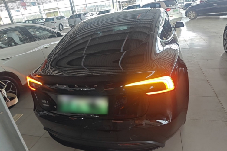 Tesla Model 3 2024 #6 Tesla Model 3 2024 car image #6