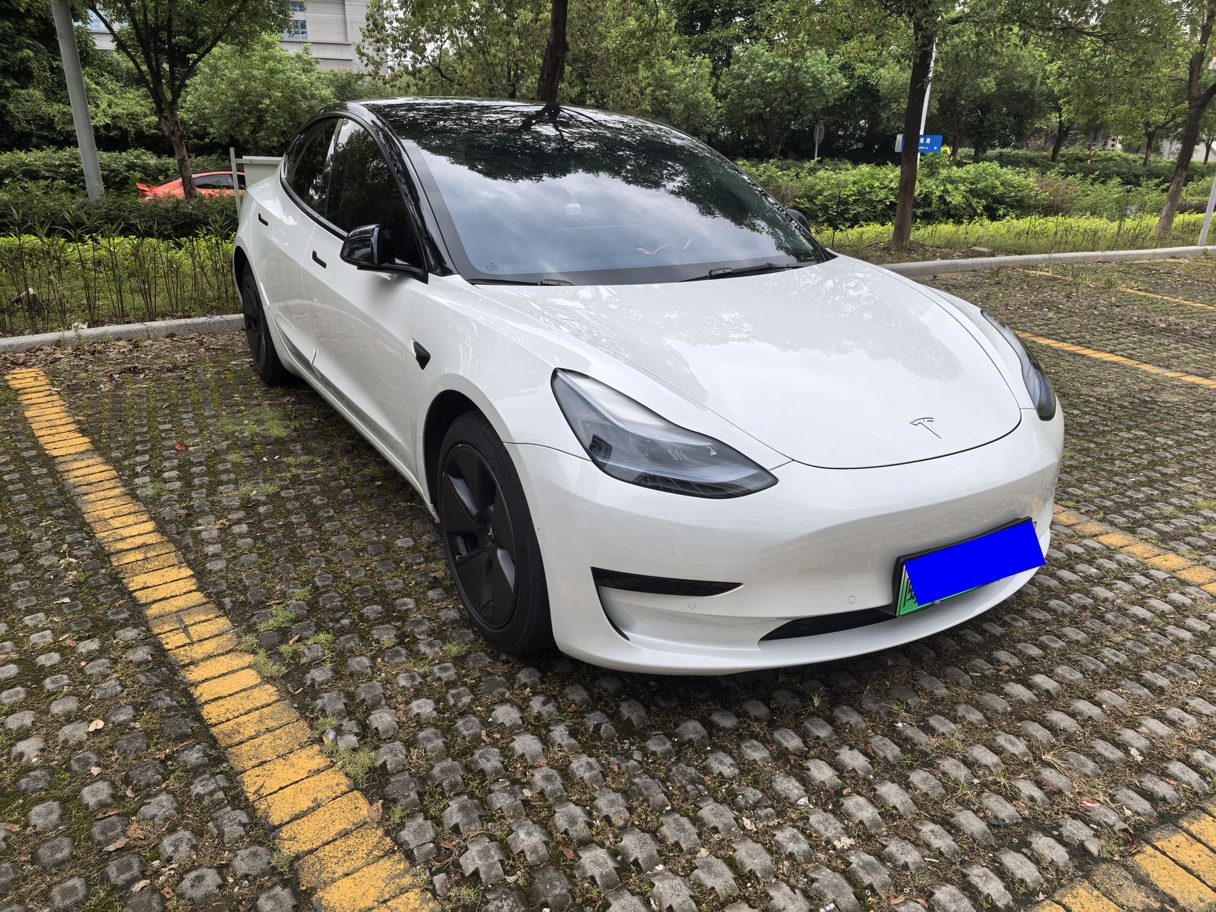 Tesla Model 3 2023 #3 Tesla Model 3 2023 car image #3