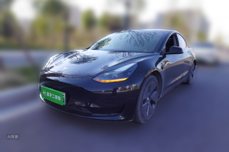 Tesla Model 3 2021 #2 Tesla Model 3 2021 car image #2