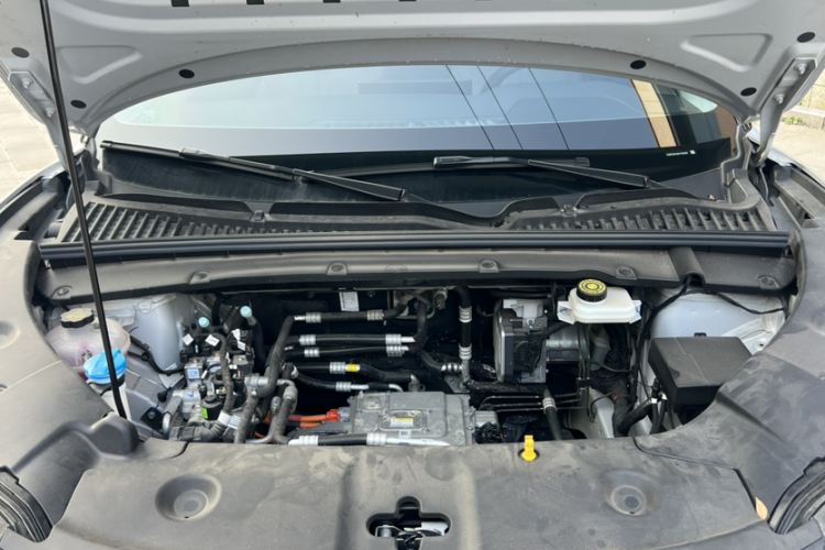 BYD YuanUP 2025 car image #20