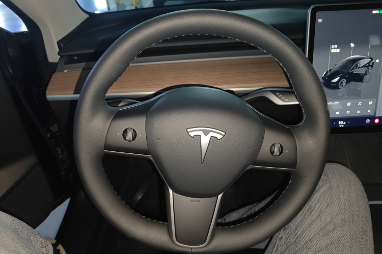 Tesla Model 3 2022 car image #15