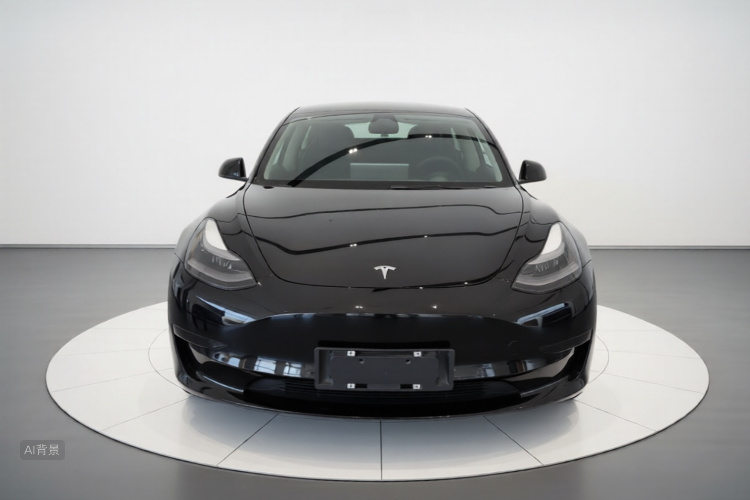 Tesla Model 3 2022 immagine di auto #3