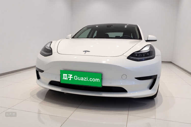 Tesla Model 3 2021 #3 Tesla Model 3 2021 car image #3