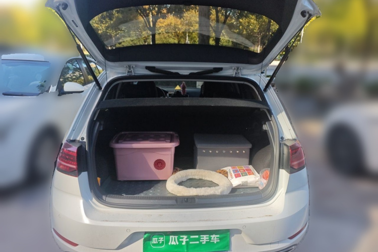 Volkswagen Golf 2019 car image #17