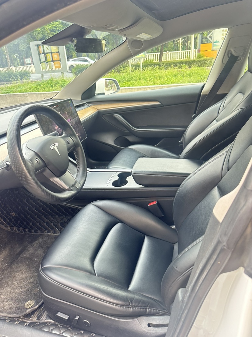Tesla Model 3 2022 car image #7