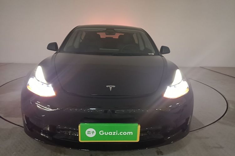 Tesla Model 3 2021 #3 Tesla Model 3 2021 car image #3